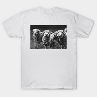 Rams T-Shirt